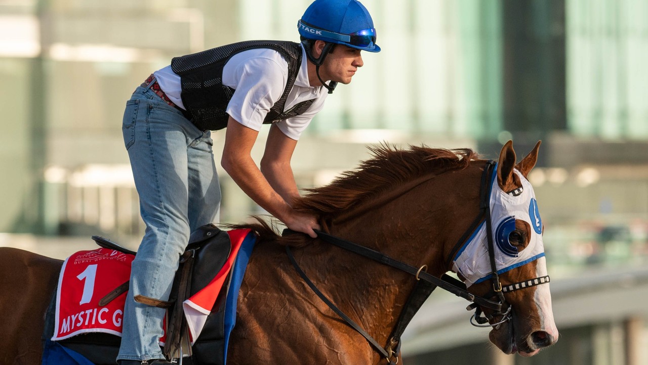 Friday Track Notes Group 1 $12m Dubai World Cup Sponsored ... Image 1